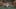 Miniatura screenshot del gioco 5