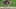 Game screenshot thumbnail 2