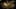 Miniatura de la captura de pantalla del juego 4