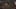 Thumbnail Spiel-Screenshot 5
