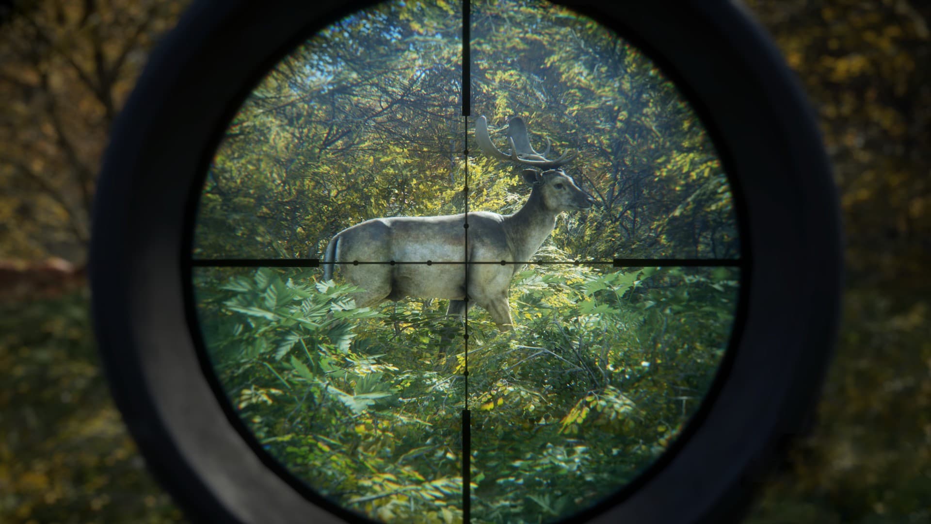 Captura de tela do jogo 1
