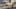Miniature af spil-screenshot 4