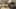Miniature af spil-screenshot 1