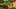 Miniature af spil-screenshot 3