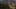 Thumbnail Spiel-Screenshot 2
