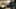 Miniature de la capture d'écran du jeu 1