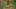 Thumbnail Spiel-Screenshot 1