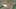 Miniatura de la captura de pantalla del juego 5