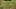 Thumbnail Spiel-Screenshot 5