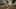Miniatura screenshot del gioco 4