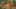 Thumbnail Spiel-Screenshot 2