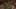 Thumbnail Spiel-Screenshot 4