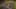Miniatura de la captura de pantalla del juego 3