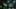 Thumbnail Spiel-Screenshot 4