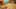 Miniatura de la captura de pantalla del juego 4