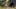Miniature af spil-screenshot 5