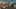 Thumbnail gamescreenshot 2