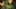 Miniature af spil-screenshot 1