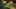 Miniature af spil-screenshot 3