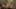 Thumbnail Spiel-Screenshot 3