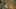 Thumbnail Spiel-Screenshot 4