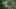 Game screenshot thumbnail 3