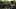Game screenshot thumbnail 1