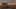 Thumbnail Spiel-Screenshot 1
