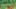 Miniature af spil-screenshot 2