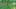 Miniature af spil-screenshot 5
