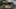 Thumbnail gamescreenshot 4