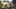 Thumbnail Spiel-Screenshot 4
