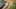 Miniatura de la captura de pantalla del juego 3