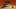 Thumbnail Spiel-Screenshot 5
