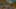 Miniature af spil-screenshot 1