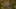 Miniature af spil-screenshot 3