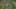 Miniature af spil-screenshot 4