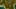 Miniature af spil-screenshot 5