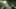 Miniatura de la captura de pantalla del juego 4