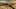 Miniatura de la captura de pantalla del juego 5