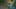Miniature af spil-screenshot 4