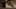Thumbnail Spiel-Screenshot 2
