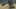 Thumbnail Spiel-Screenshot 5