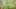 Thumbnail Spiel-Screenshot 4