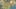 Thumbnail Spiel-Screenshot 5