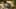 Miniature af spil-screenshot 1