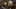 Miniature af spil-screenshot 2