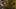 Miniature af spil-screenshot 5