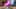 Miniature af spil-screenshot 4