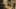 Thumbnail Spiel-Screenshot 4
